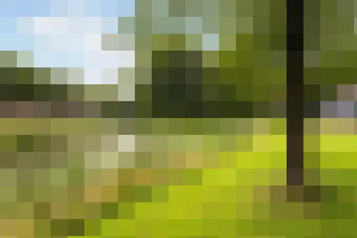 Koningsweg 62 c Geldermalsen thumbnail 32