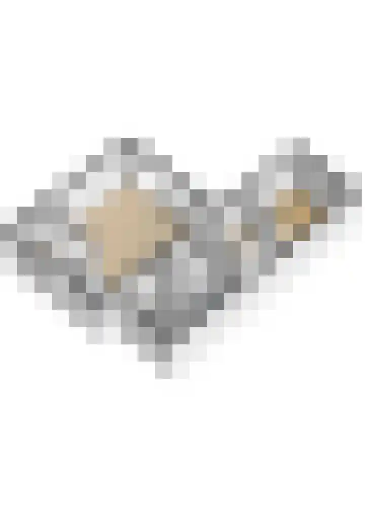 Koningsweg 62 c Geldermalsen thumbnail 34
