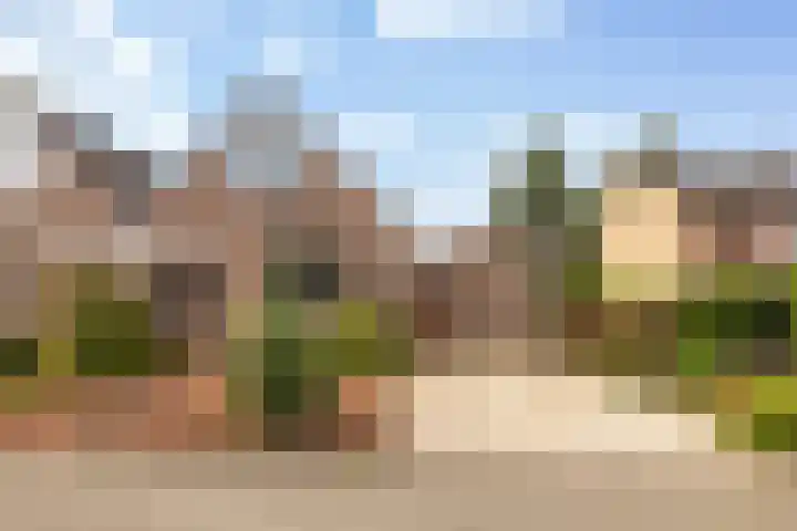 Koningsweg 62 c Geldermalsen thumbnail 4