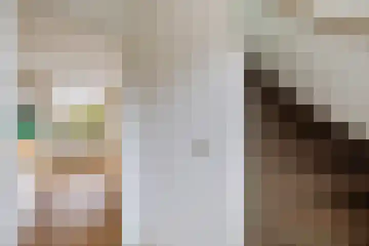 Koningsweg 62 c Geldermalsen thumbnail 6