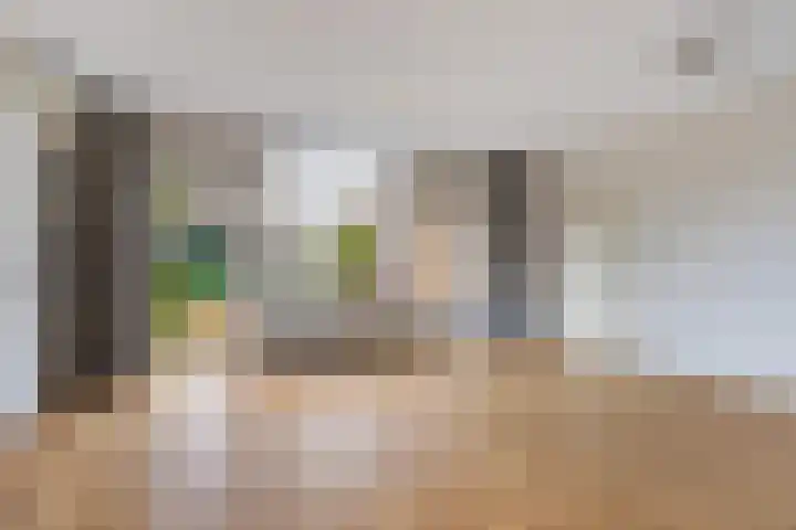 Koningsweg 62 c Geldermalsen thumbnail 9