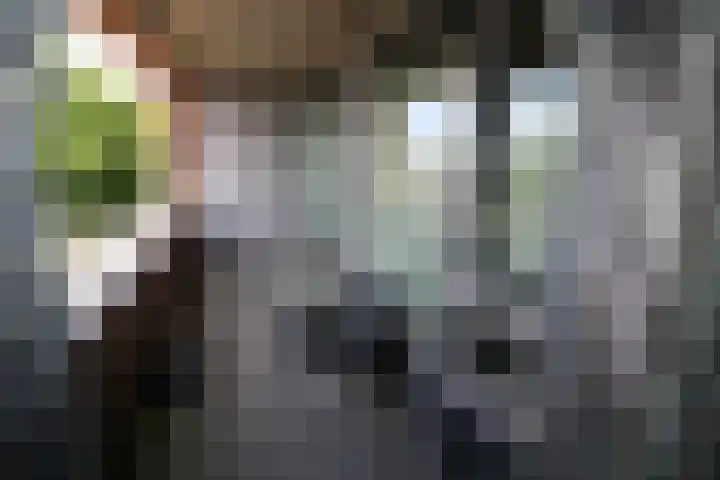 Koningsweg 64 Vriezenveen thumbnail 10