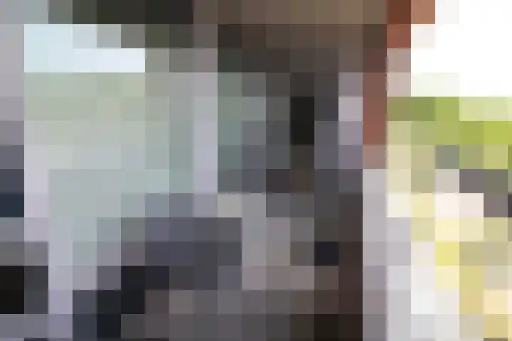 Koningsweg 64 Vriezenveen thumbnail 11