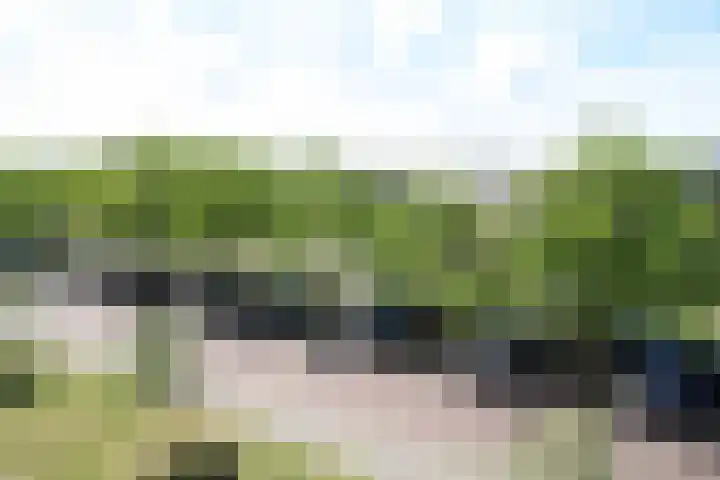 Koningsweg 64 Vriezenveen thumbnail 12