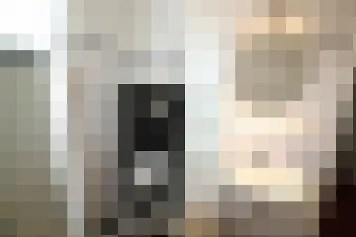 Koningsweg 64 Vriezenveen thumbnail 15
