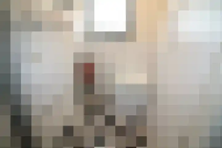 Koningsweg 64 Vriezenveen thumbnail 18