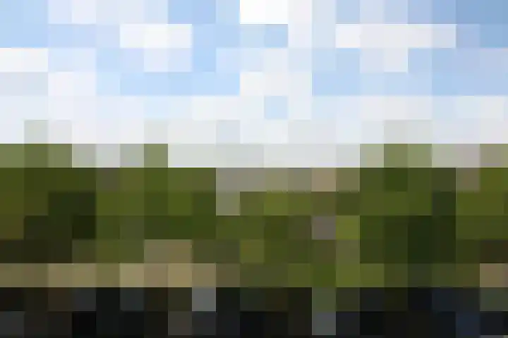 Koningsweg 64 Vriezenveen thumbnail 27