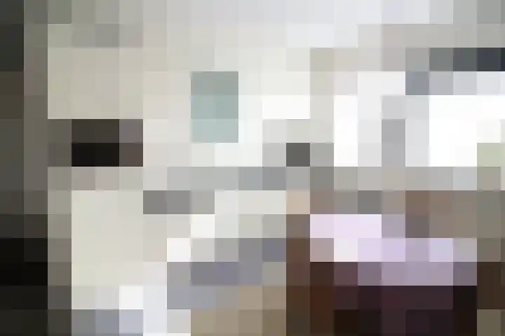 Koningsweg 64 Vriezenveen thumbnail 7