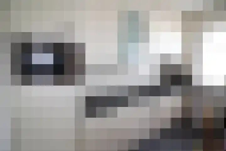 Koningsweg 64 Vriezenveen thumbnail 9