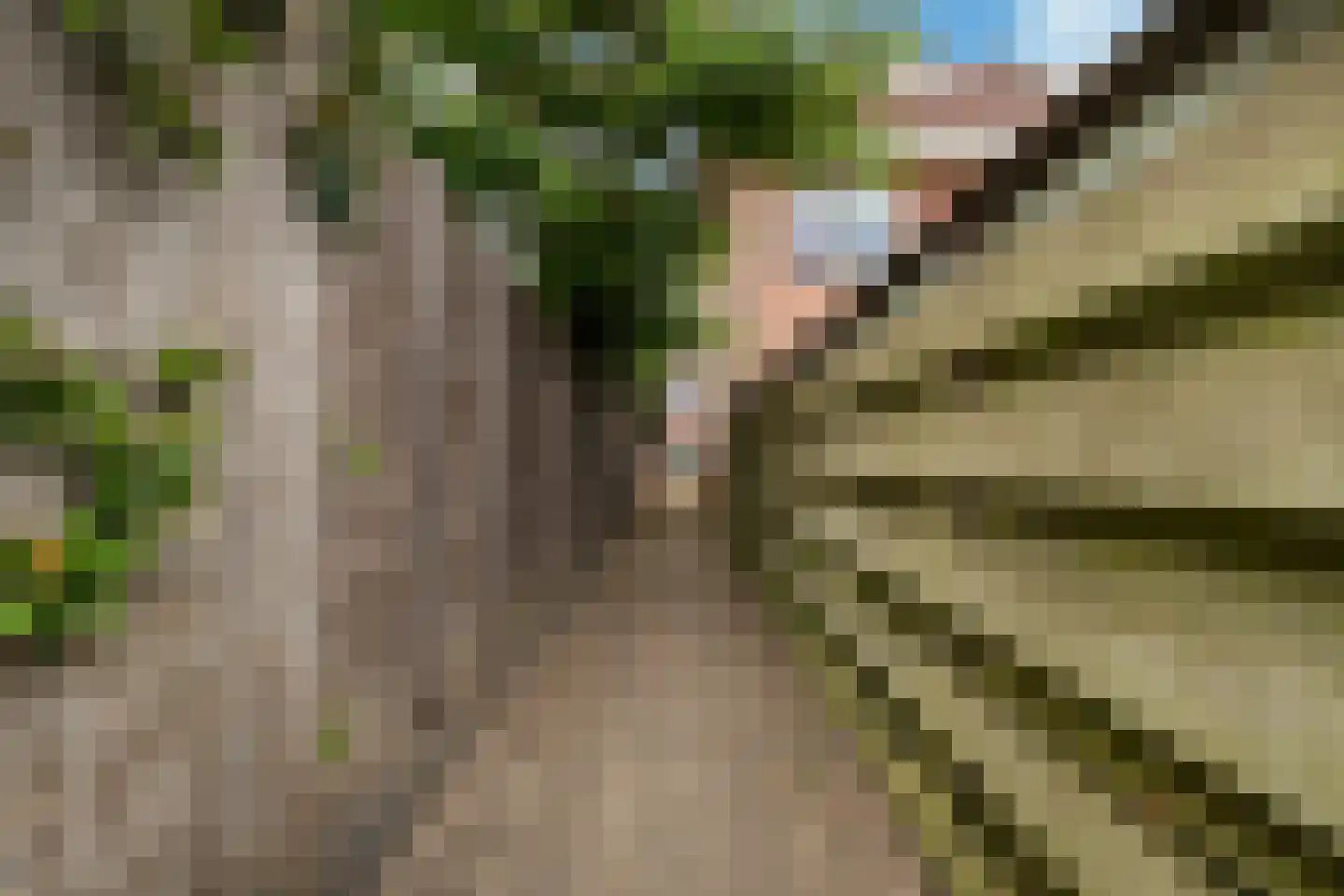 Koningsweg 67 Akersloot thumbnail 61