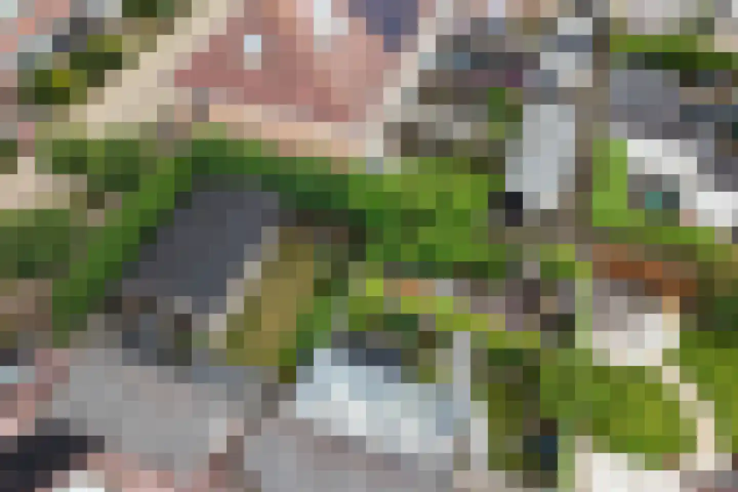 Koningsweg 67 Akersloot thumbnail 64