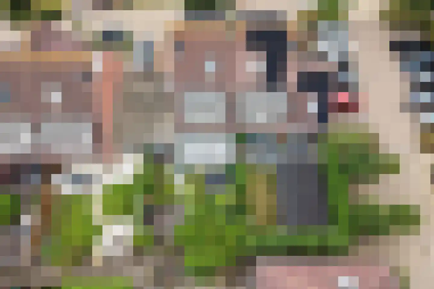 Koningsweg 67 Akersloot thumbnail 65