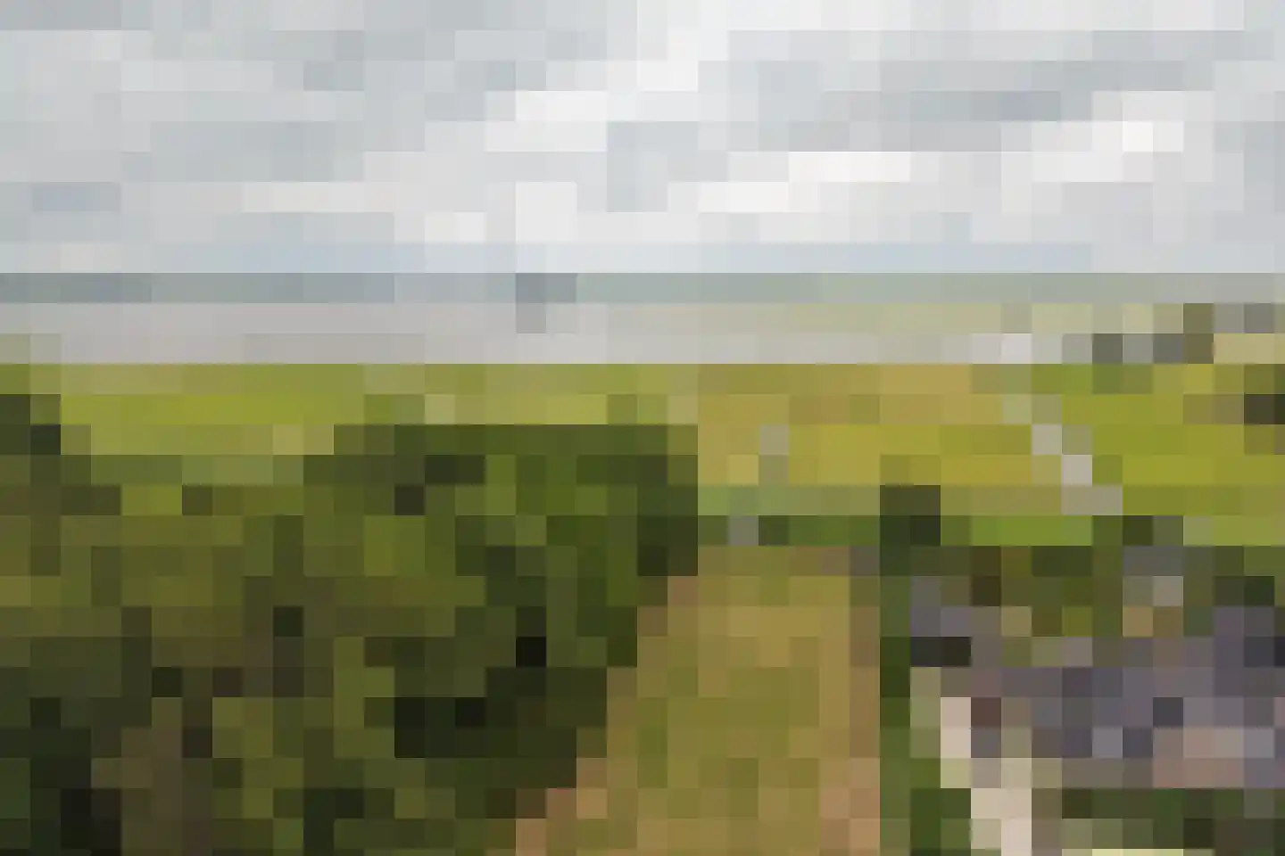Koningsweg 67 Akersloot thumbnail 67
