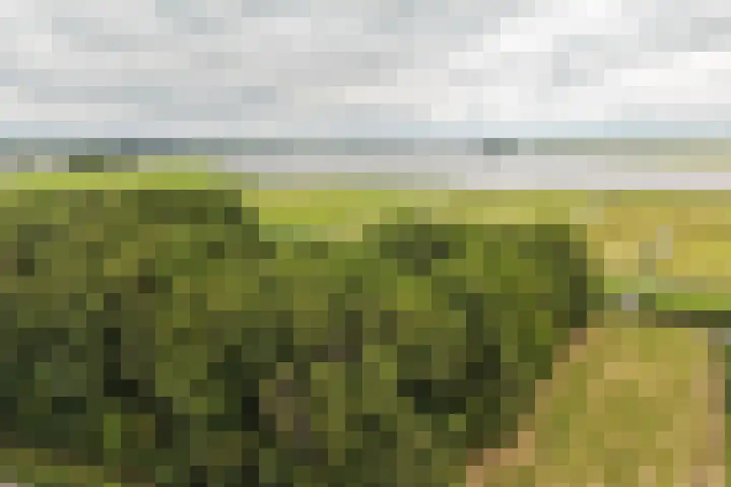 Koningsweg 67 Akersloot thumbnail 68