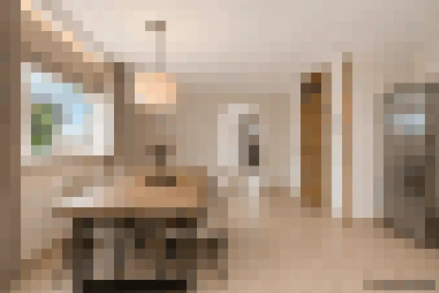 Koningsweg 69 Hippolytushoef thumbnail 14