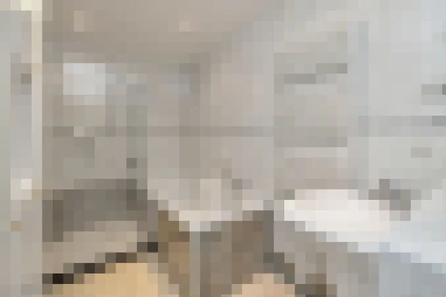 Koningsweg 69 Hippolytushoef thumbnail 18
