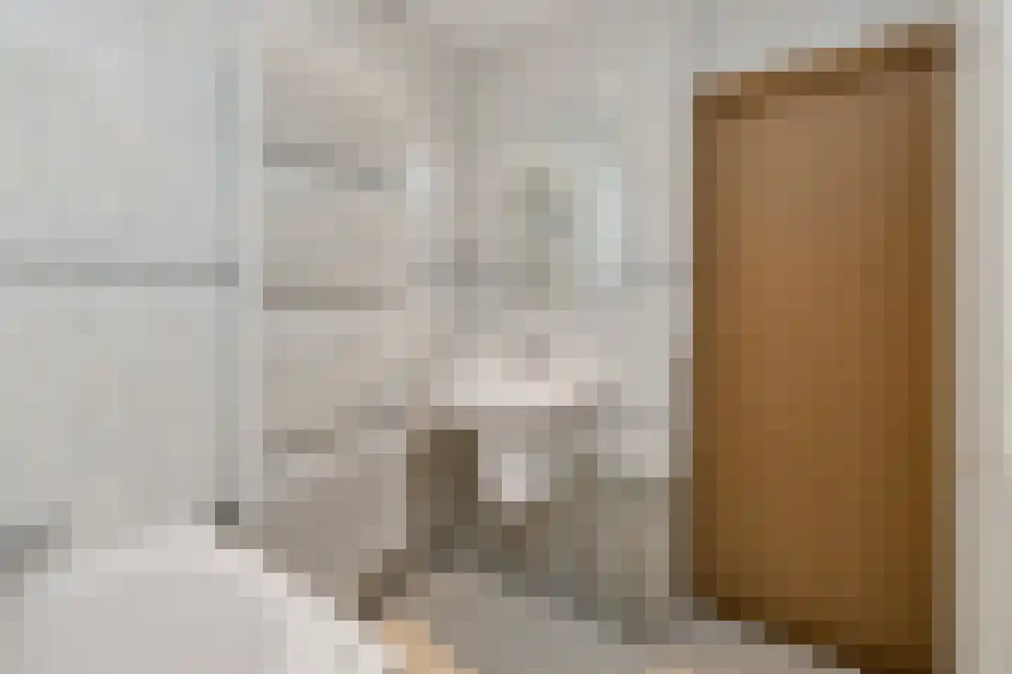 Koningsweg 69 Hippolytushoef thumbnail 19