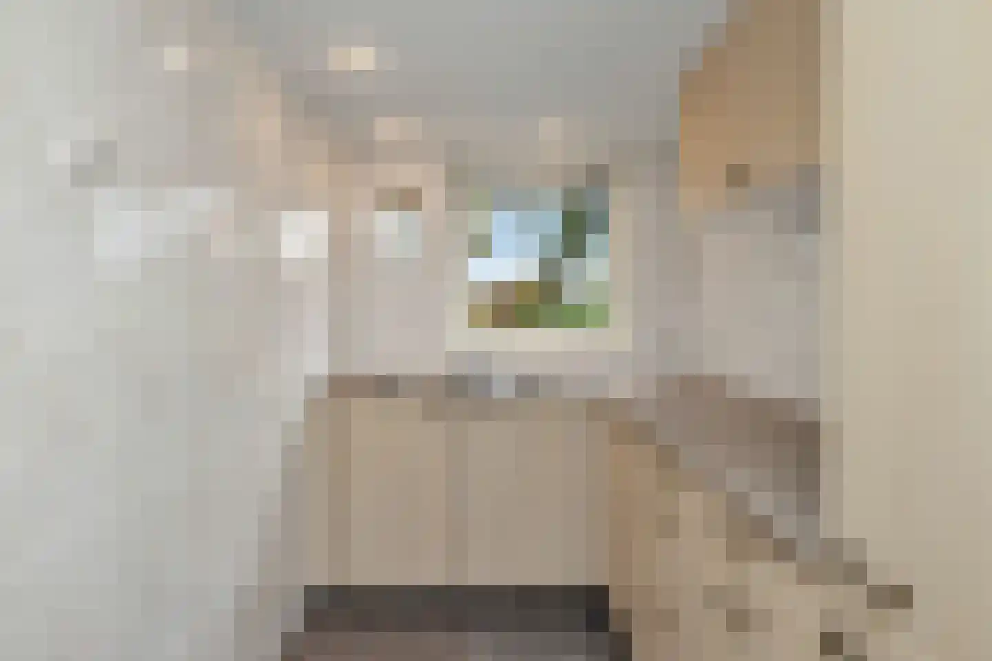 Koningsweg 69 Hippolytushoef thumbnail 21