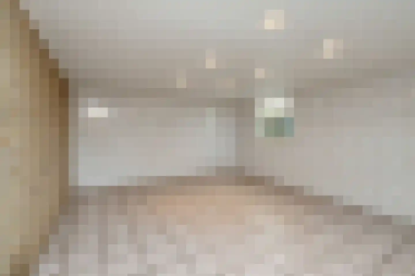 Koningsweg 69 Hippolytushoef thumbnail 22