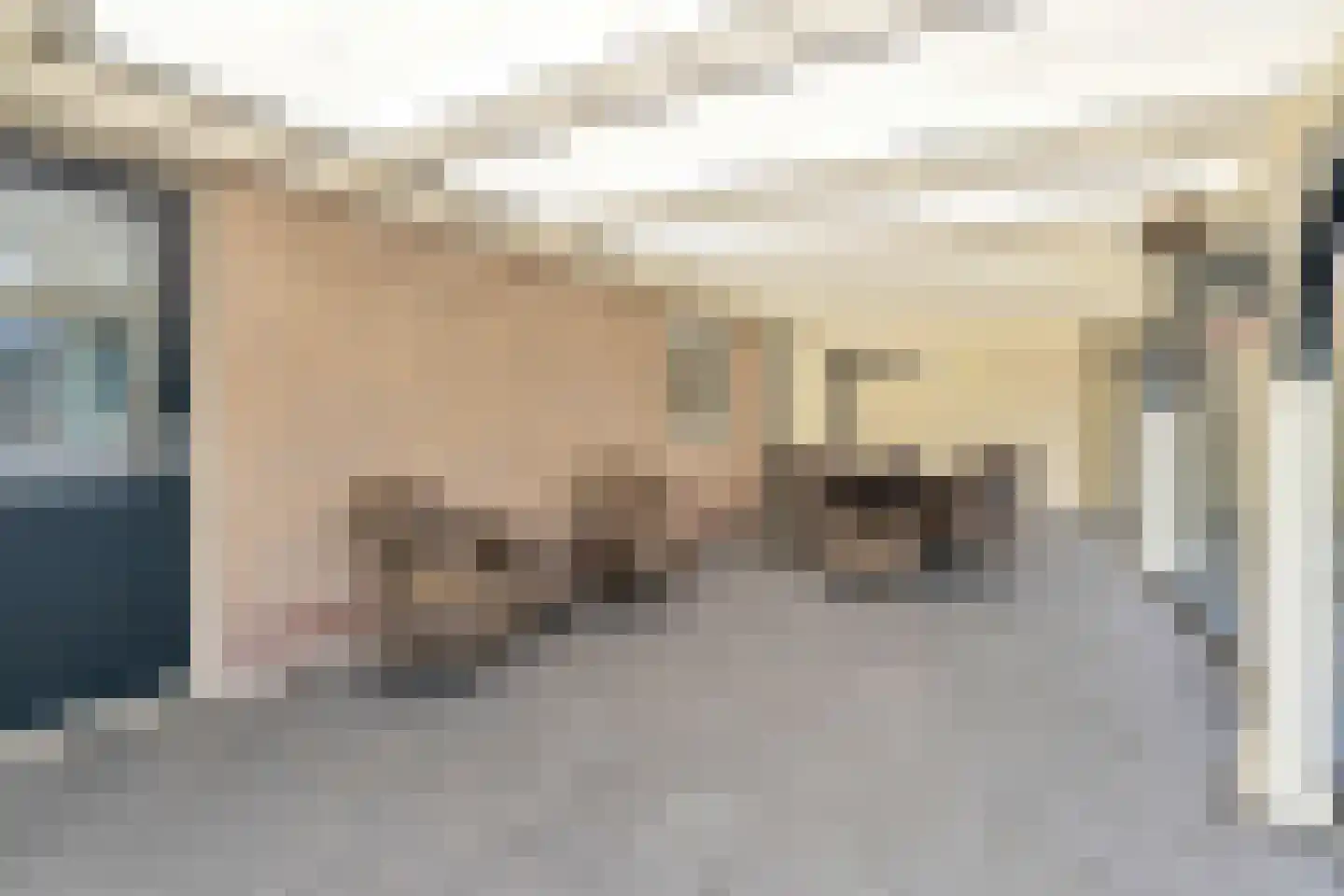 Koningsweg 69 Hippolytushoef thumbnail 23