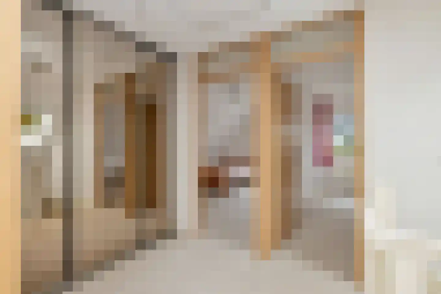 Koningsweg 69 Hippolytushoef thumbnail 26
