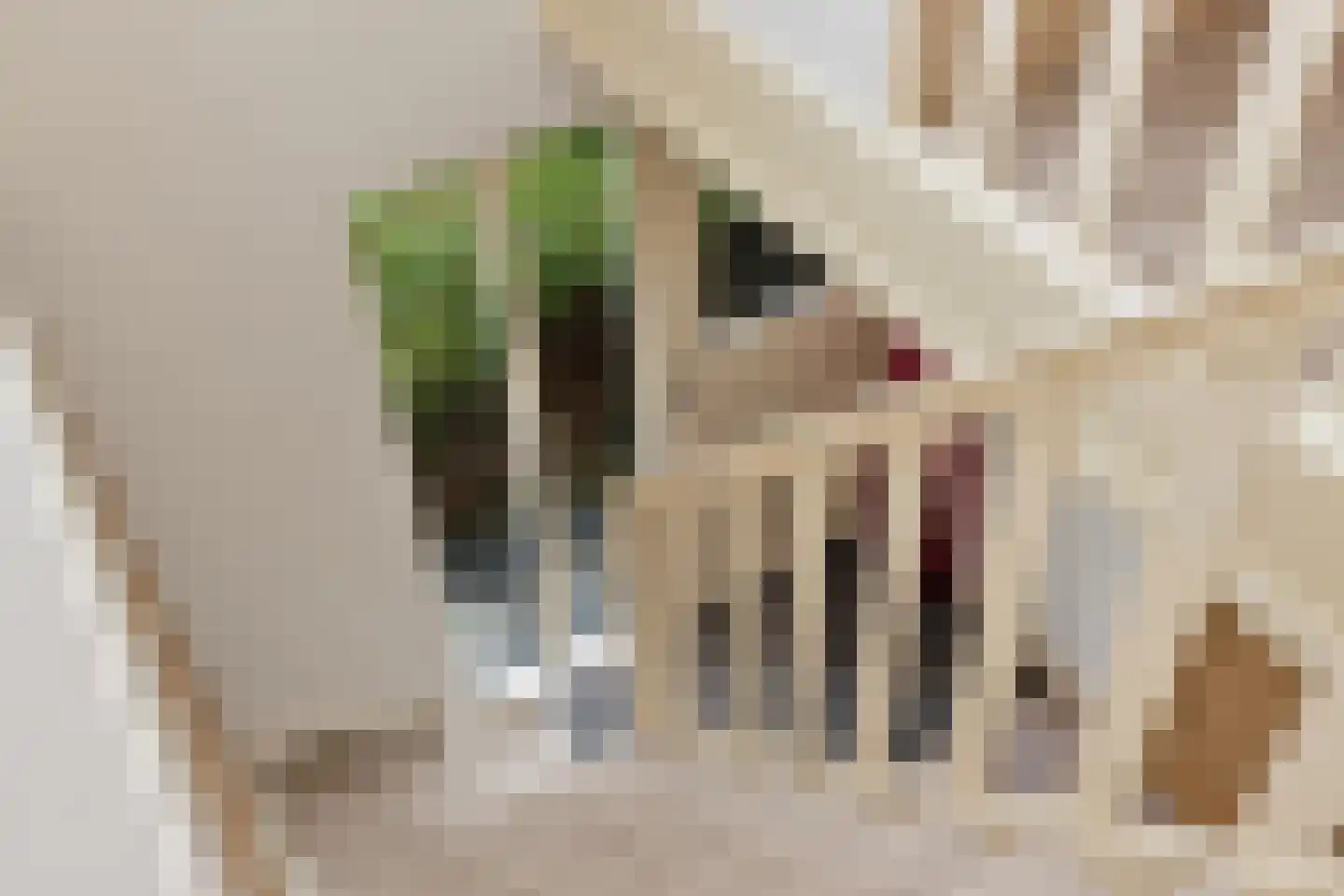 Koningsweg 69 Hippolytushoef thumbnail 28