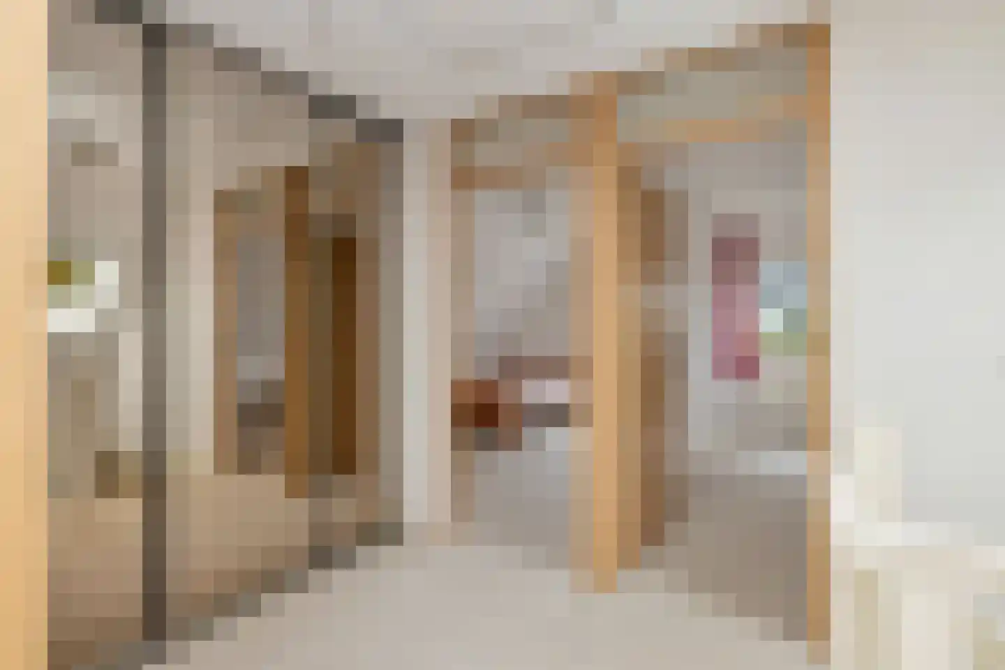 Koningsweg 69 Hippolytushoef thumbnail 29