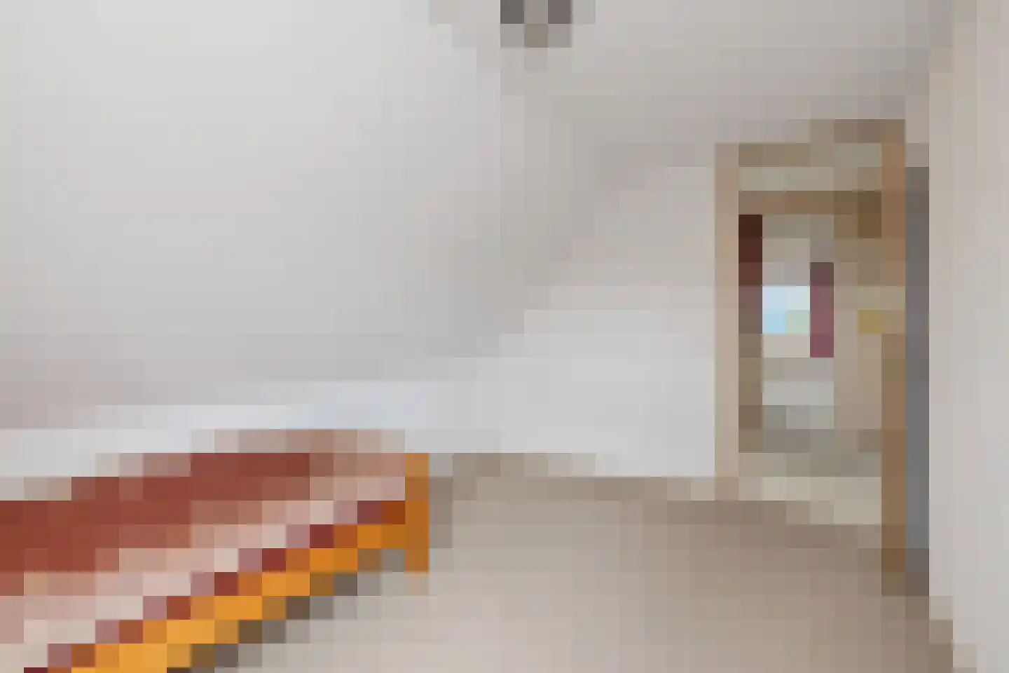 Koningsweg 69 Hippolytushoef thumbnail 31
