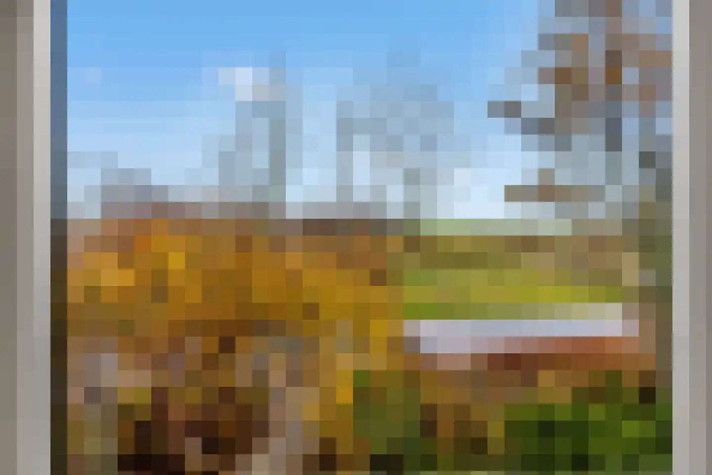 Koningsweg 69 Hippolytushoef thumbnail 31