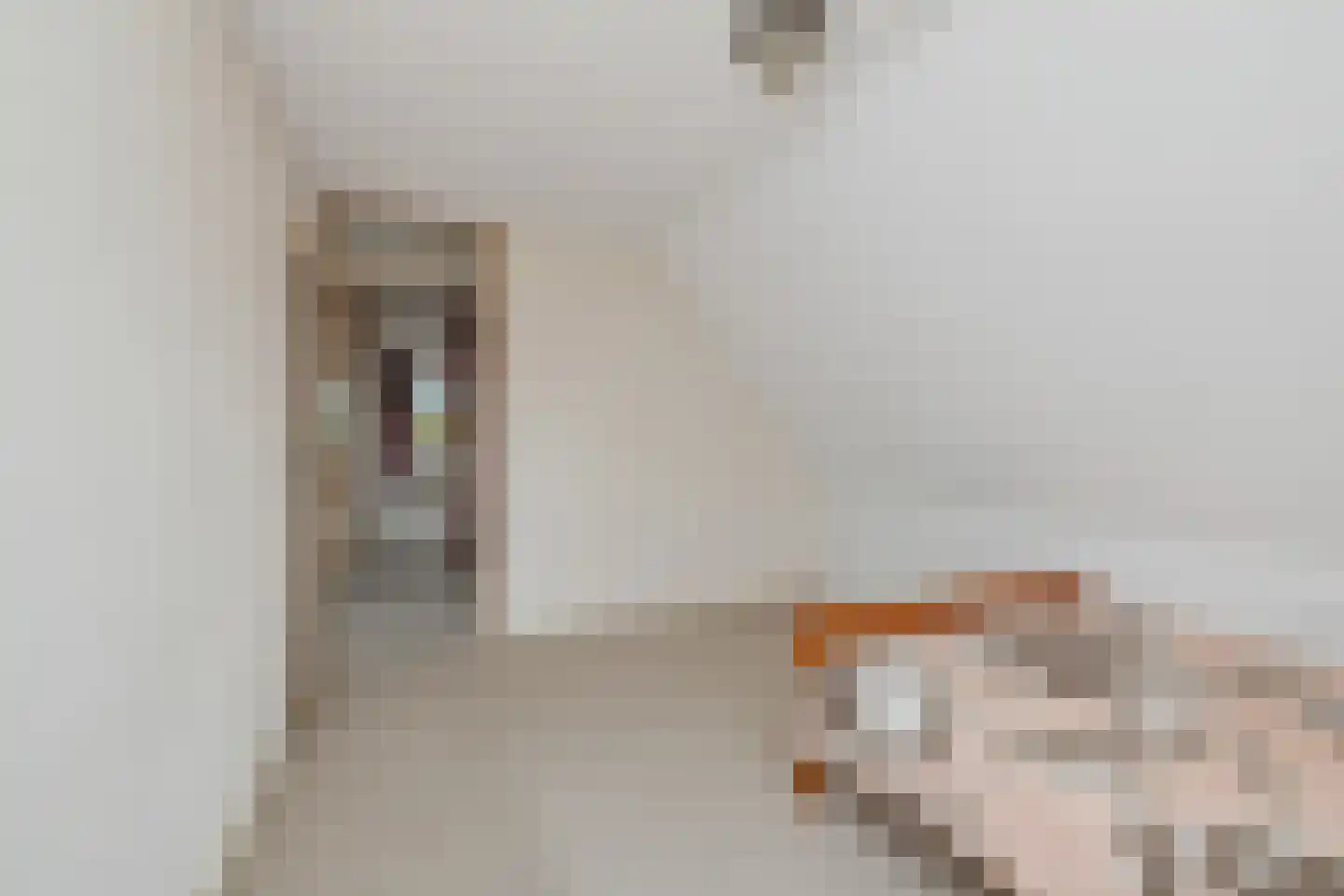 Koningsweg 69 Hippolytushoef thumbnail 32