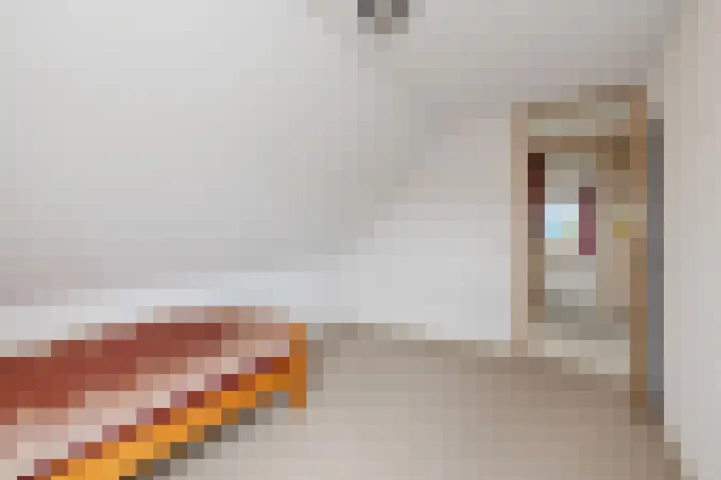 Koningsweg 69 Hippolytushoef thumbnail 34
