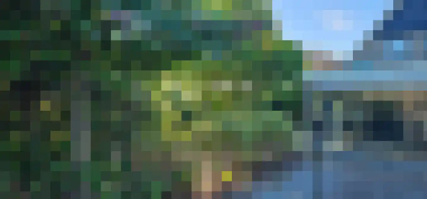 Koningsweg 69 Hippolytushoef thumbnail 39