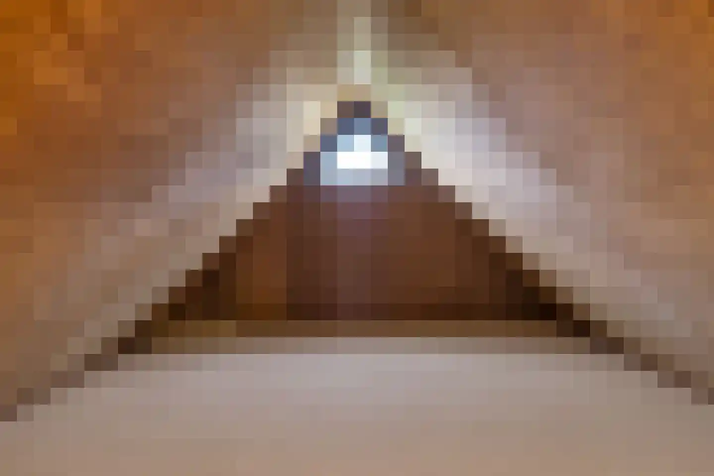 Koningsweg 69 Hippolytushoef thumbnail 40