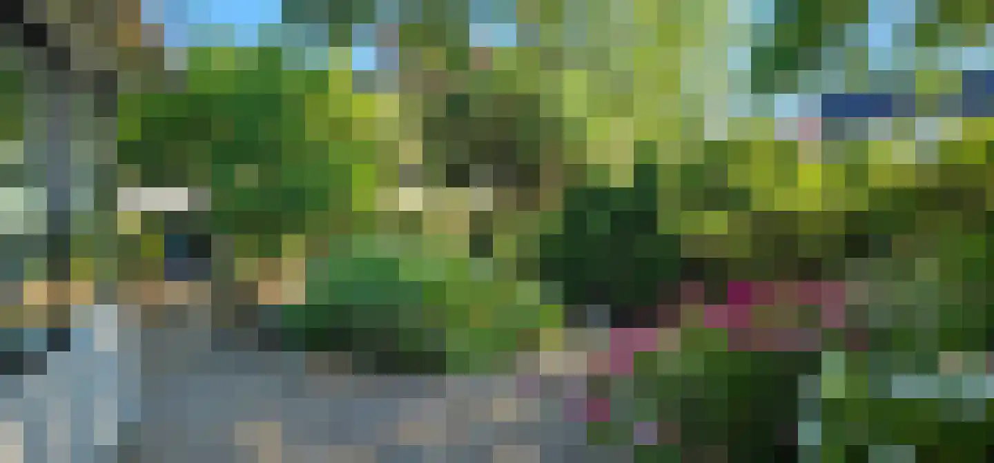 Koningsweg 69 Hippolytushoef thumbnail 41