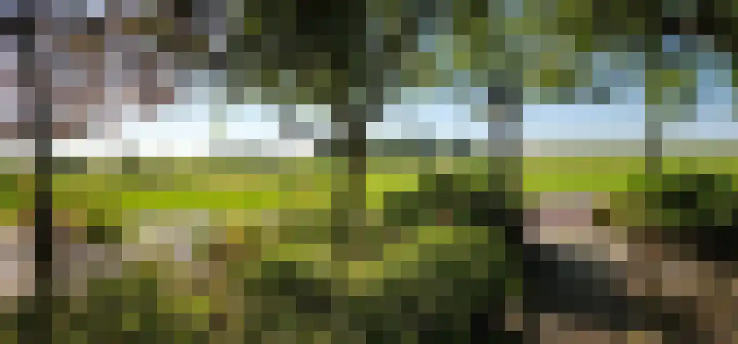 Koningsweg 69 Hippolytushoef thumbnail 43