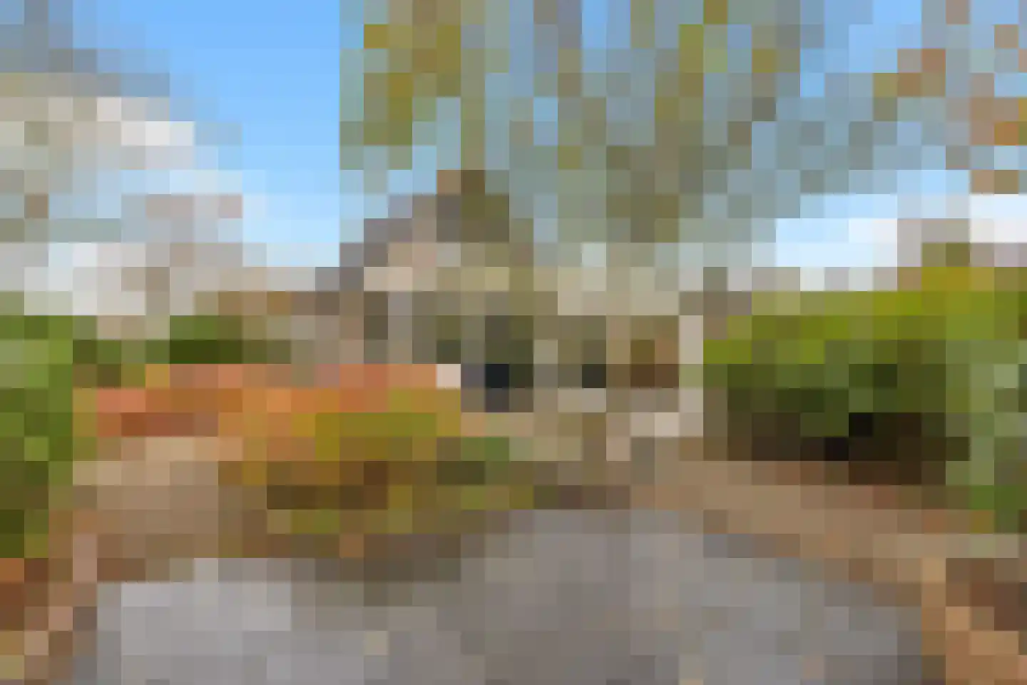 Koningsweg 69 Hippolytushoef thumbnail 54