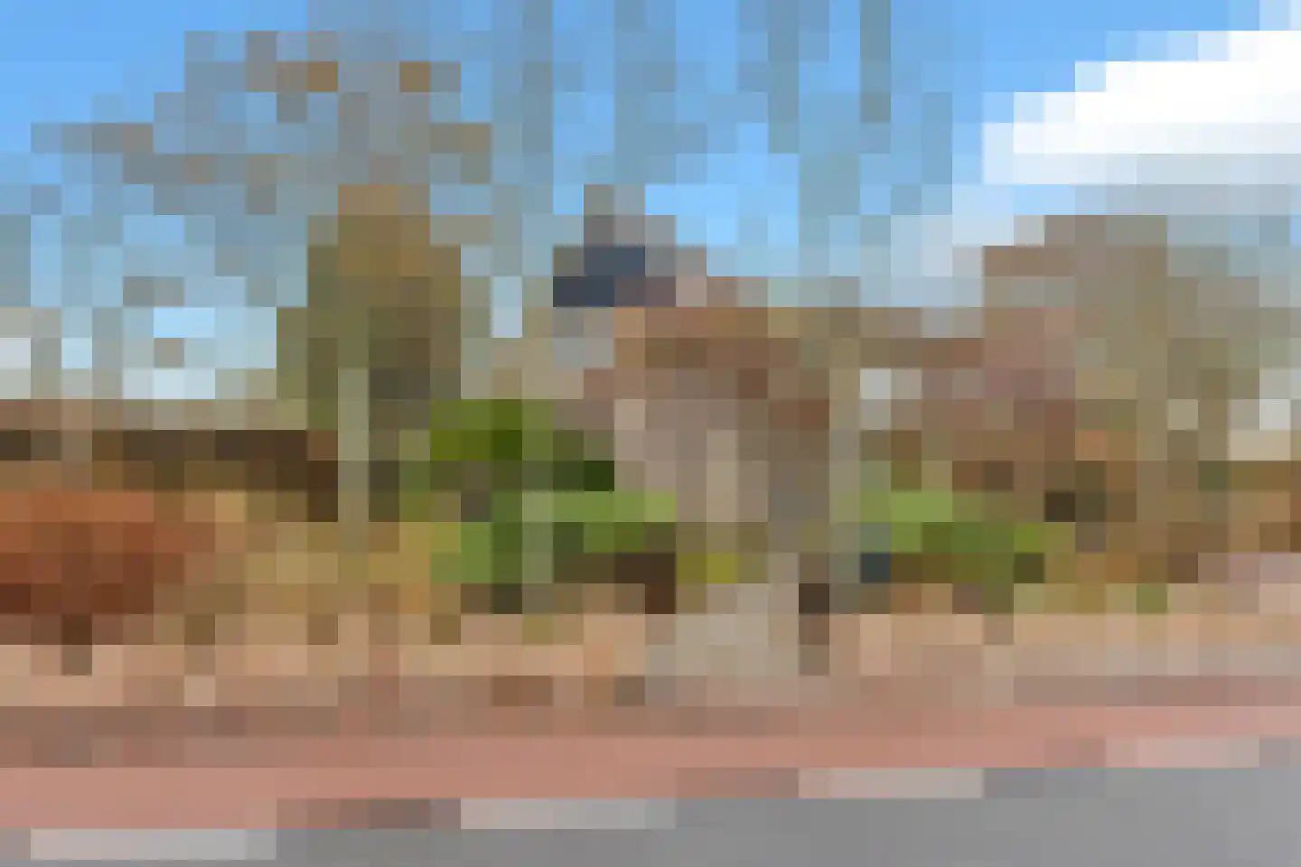 Koningsweg 69 Hippolytushoef thumbnail 7