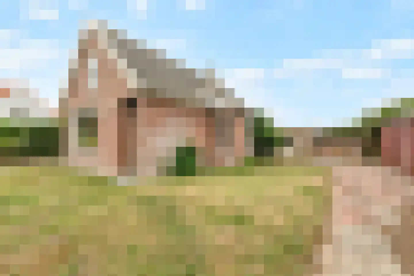 Koningsweg 7 Breezand thumbnail 10