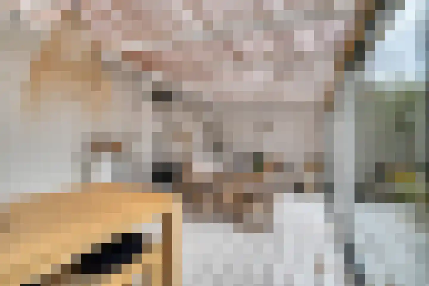 Koningsweg 7 Breezand thumbnail 13