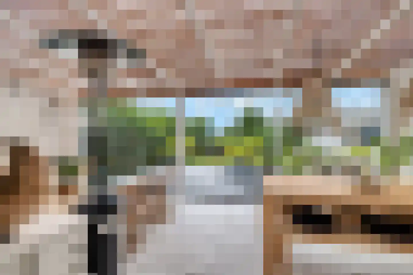 Koningsweg 7 Breezand thumbnail 17