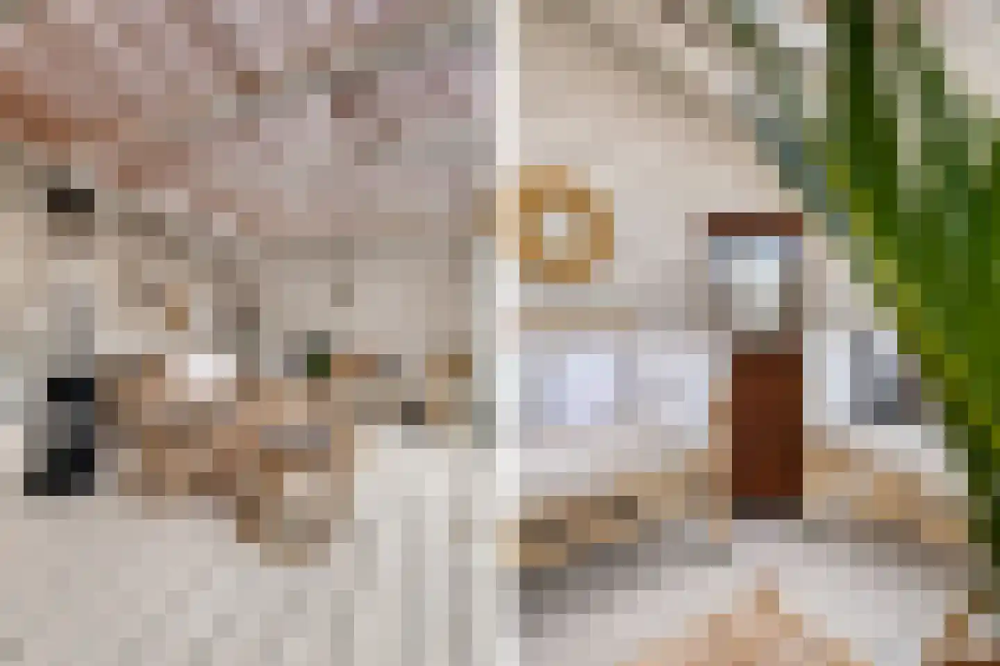 Koningsweg 7 Breezand thumbnail 19