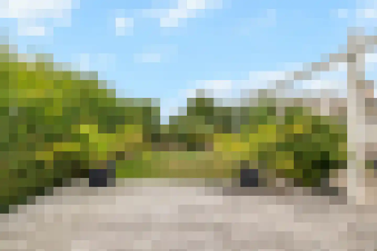 Koningsweg 7 Breezand thumbnail 23