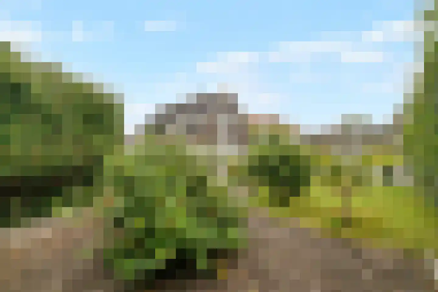 Koningsweg 7 Breezand thumbnail 26