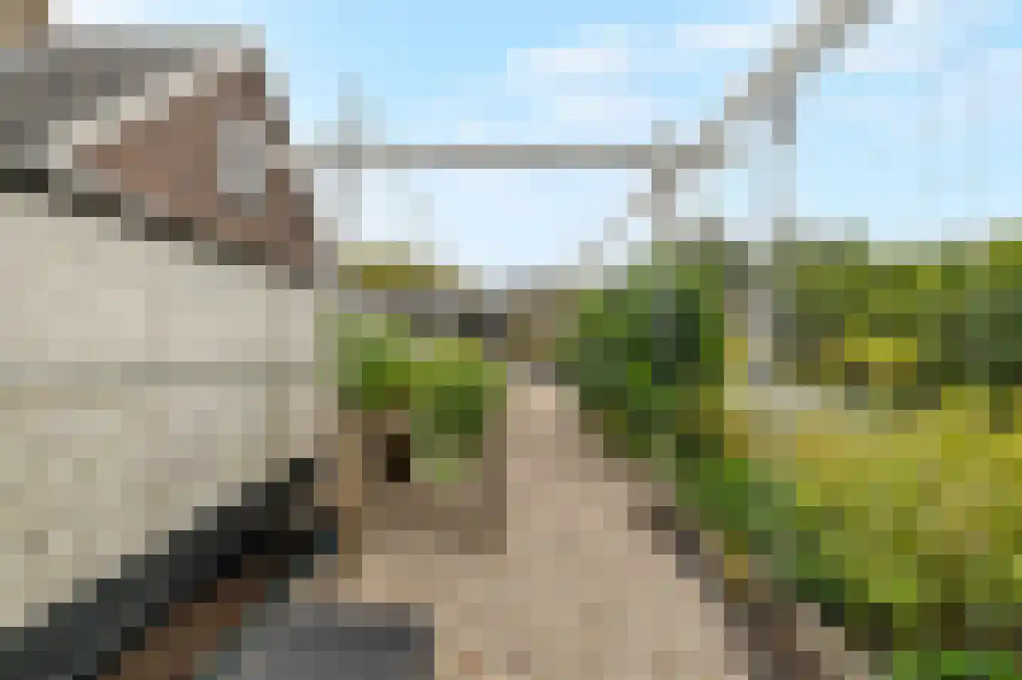Koningsweg 7 Breezand thumbnail 28