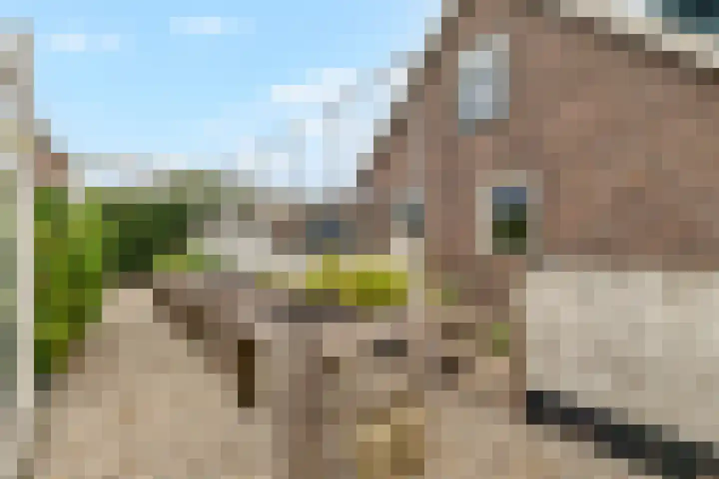 Koningsweg 7 Breezand thumbnail 30