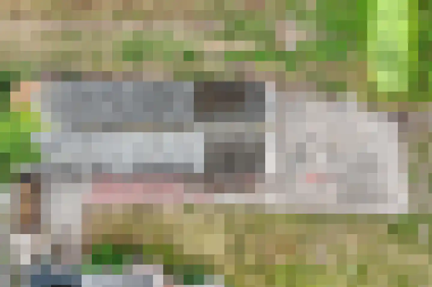 Koningsweg 7 Breezand thumbnail 41