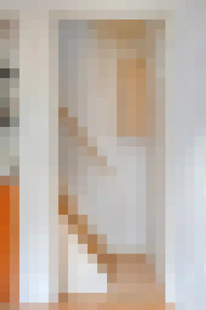 Koningsweg 71 Hippolytushoef thumbnail 11