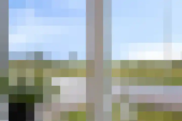 Koningsweg 71 Hippolytushoef thumbnail 12