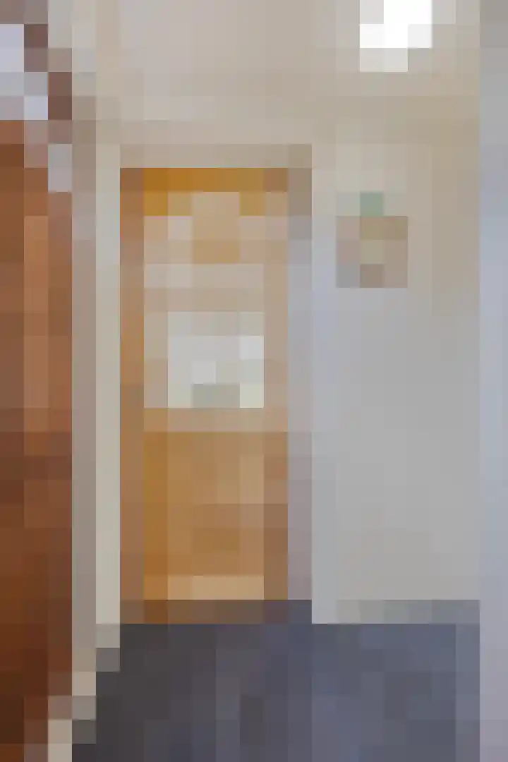 Koningsweg 71 Hippolytushoef thumbnail 13