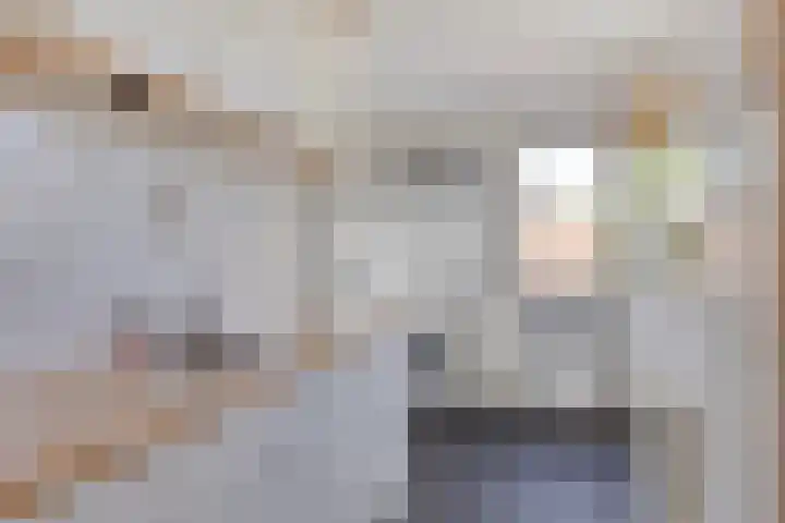 Koningsweg 71 Hippolytushoef thumbnail 15